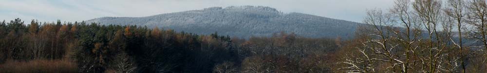 Altkönig im Winter