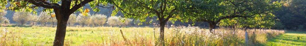 Herbst2