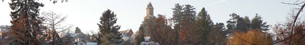 Schillerweiher im Winter
