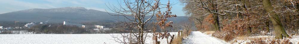 Winter2