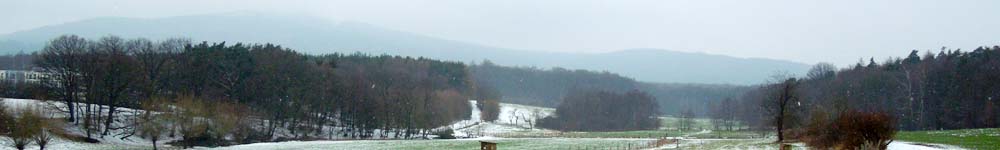 Winter4